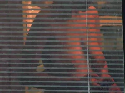 在充满公鸡的蓝色内衣的白金金发女郎