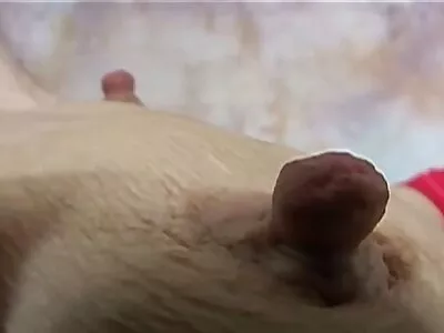红发青少年吮吸鸡巴和性爱